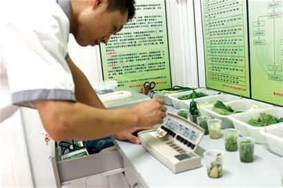 江蘇宿遷開展新鮮水果中農藥殘留檢測工作 江蘇宿遷開展新鮮水果中農藥殘留檢測工作